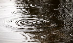drainage