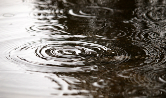 水はけの悪い土地を改善するには イメージ