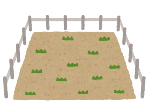 土地i