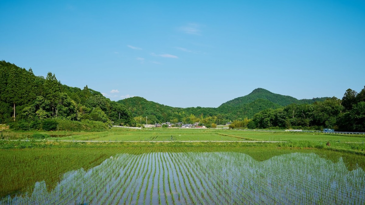 田舎の土地活用はどうする?7つの活用アイデアと3つの注意点を紹介 イメージ
